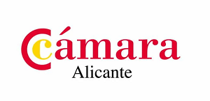Subvención proyecto TICC Cámara de Comercio Alicante